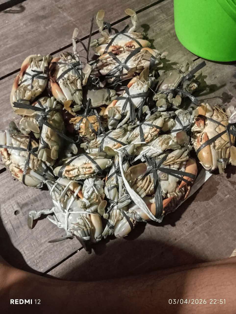 Kepiting Bakau Demak