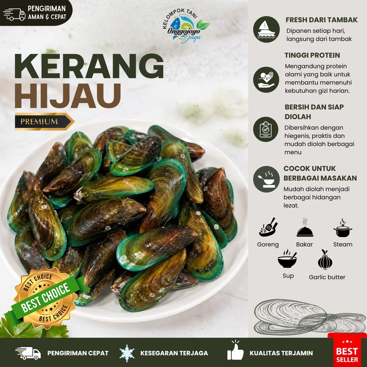 Kerang Hijau Demak