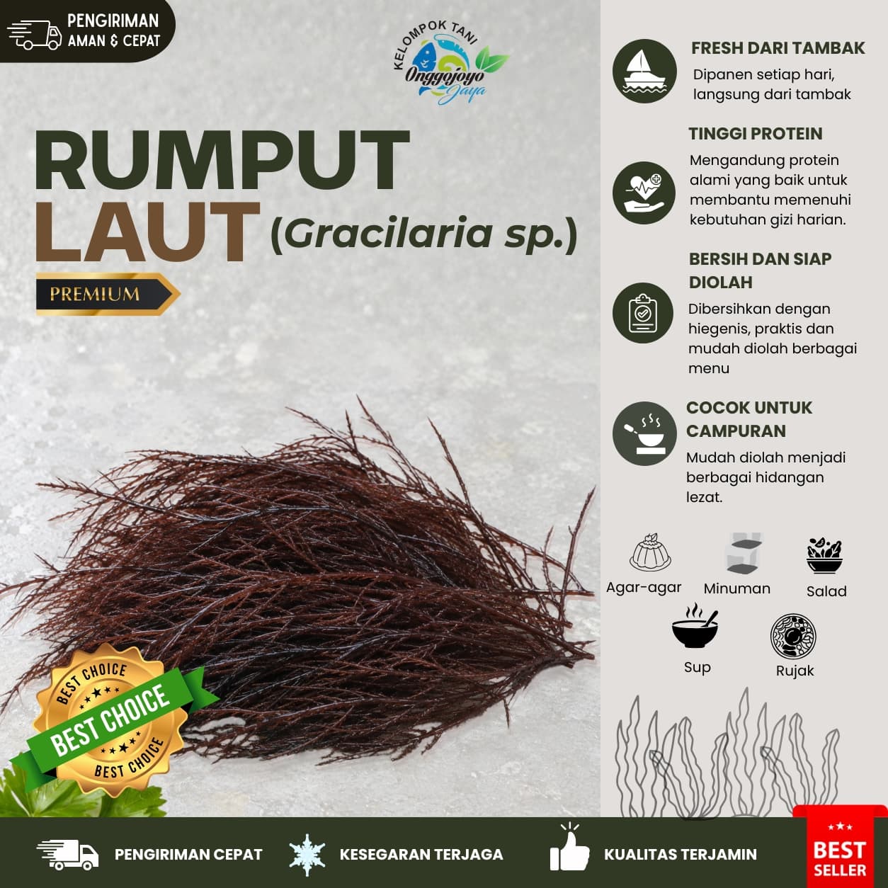 Rumput Laut Demak
